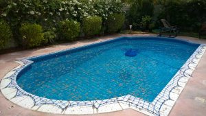 Pool safety net, Green Community, Dubai